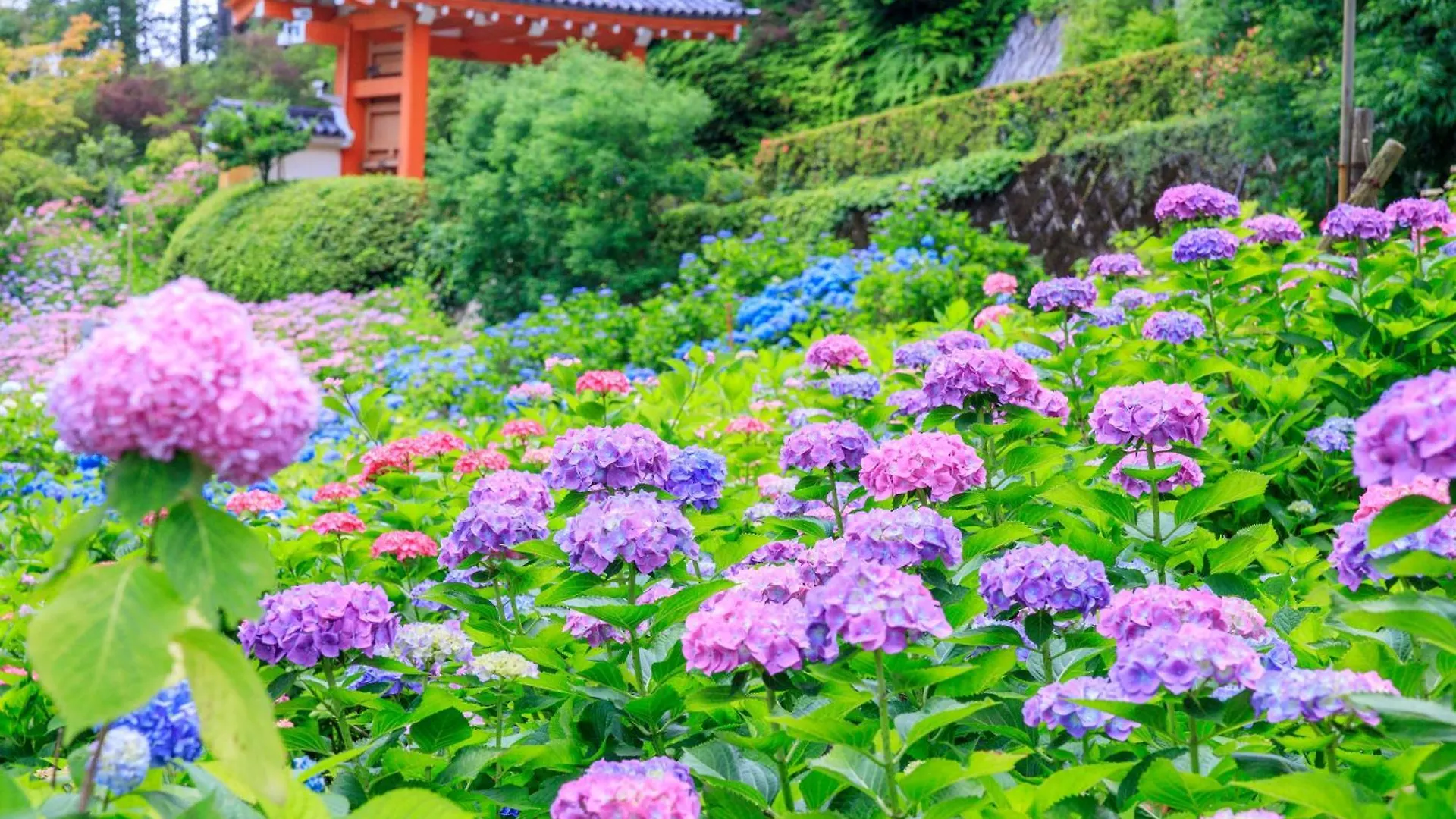 Mimaru Suites Kyoto Central 酒店